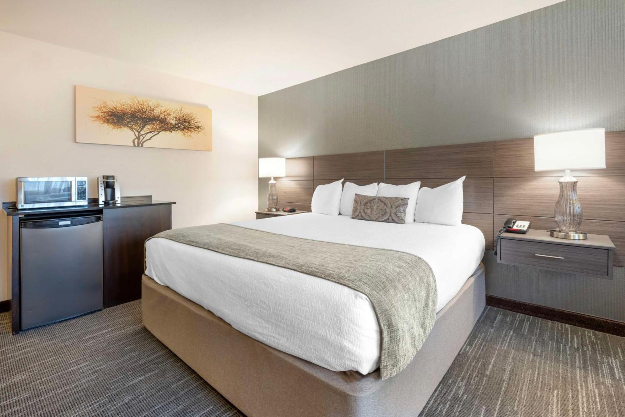 Best Western Plus City Center